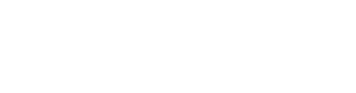 SkillsFirst Logo -Grey Text (1)